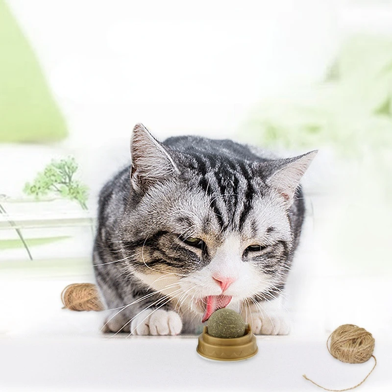 Настенная игрушка-шарик для кошек, подходит для здорового и натурального  устранения шерсти | AliExpress