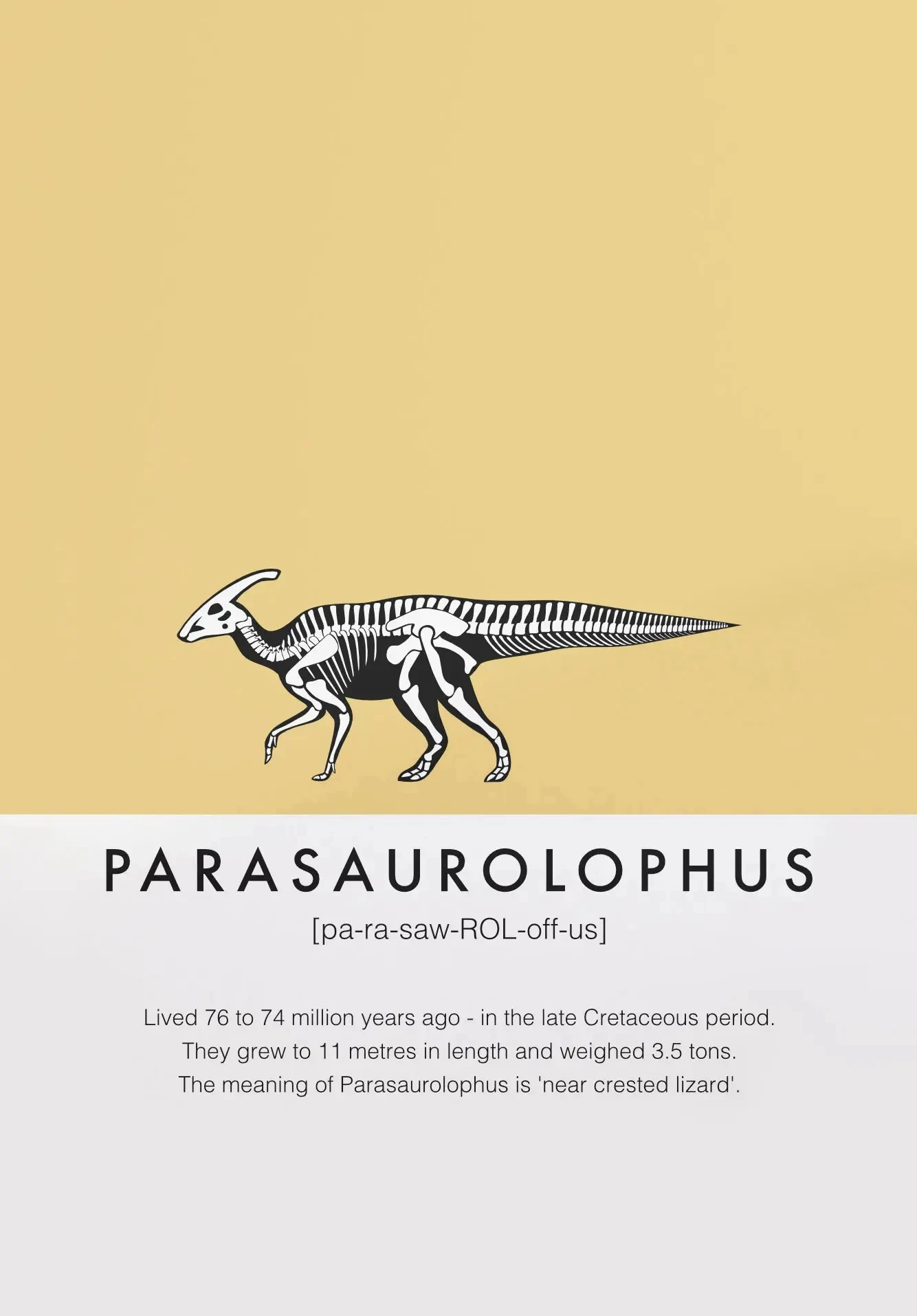 

Плакат с динозаврами на холсте