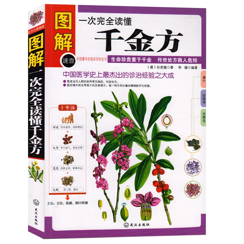 Рисунок 5 - Схема традиционной китайской медицины Qianjinfang