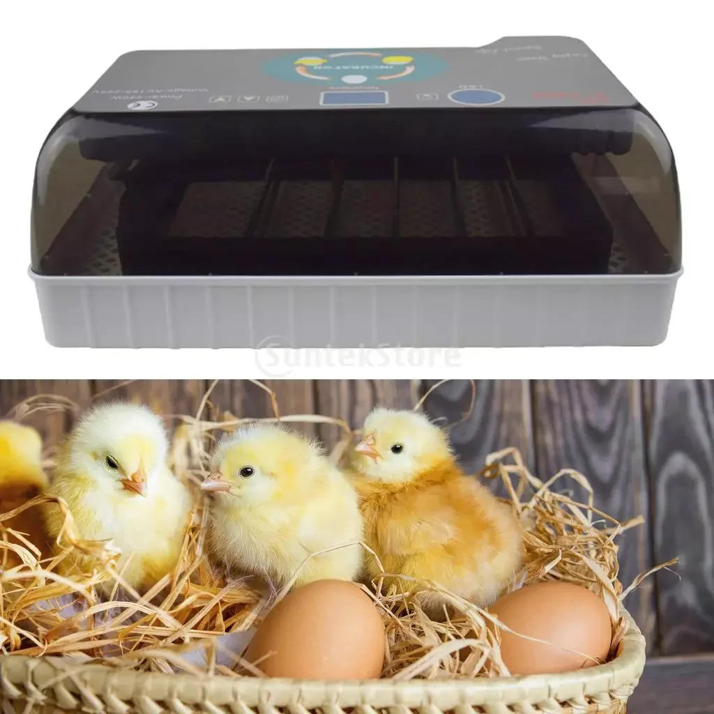 

Полностью автоматический светодиодный инкубатор для куриных уток, яиц, домашней птицы, 12 яиц