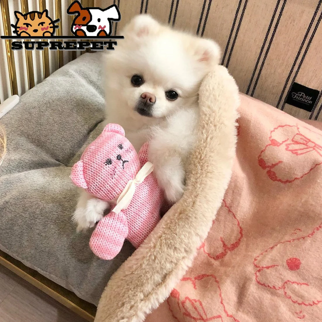 

Squeaky Toys Colorful Knitted Cotton Bear Interactive Pet Toy Accessories for Puppy Small Pets Medium Dog Large Dogs Supplies