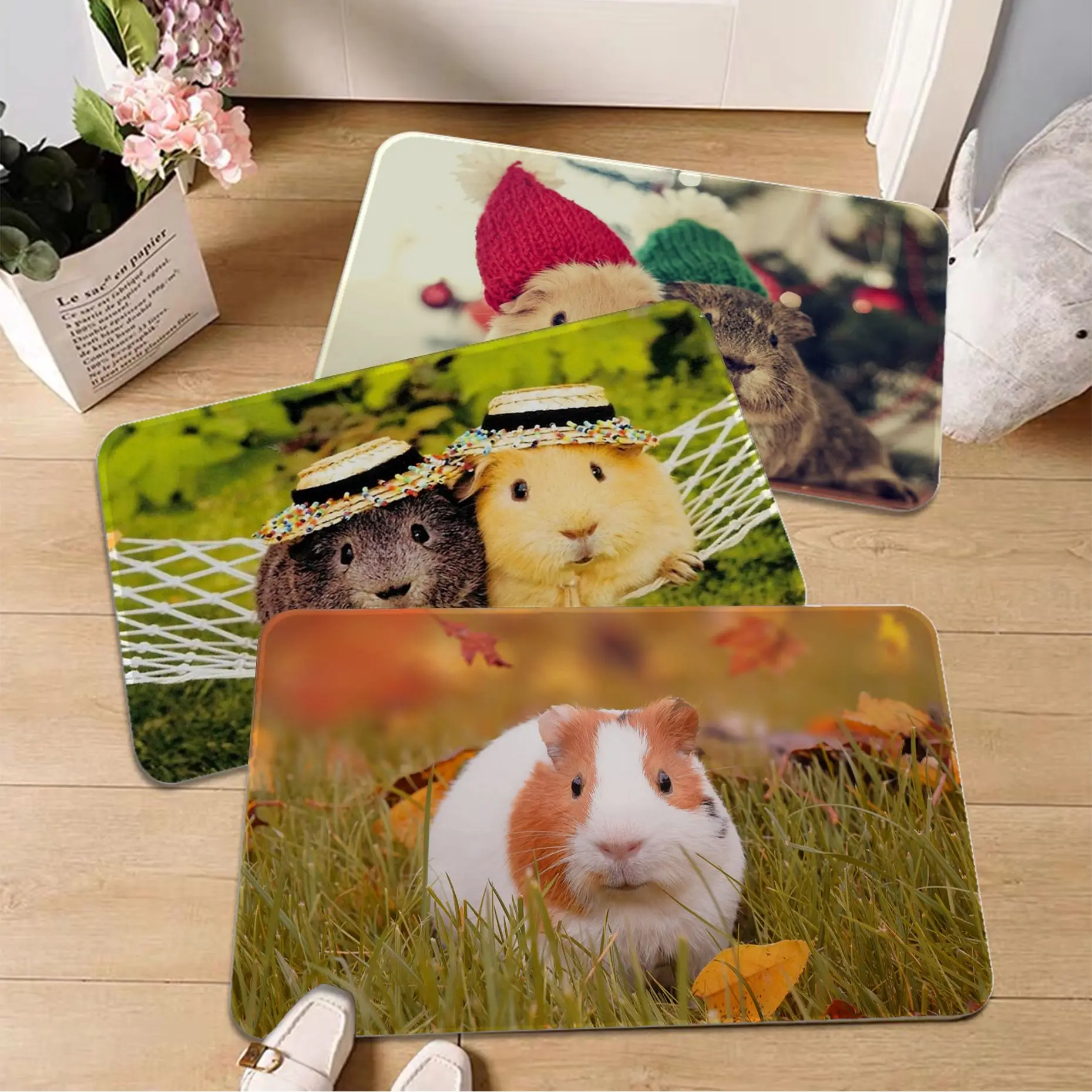 

Guinea Pig Cute Hallway Carpet Nordic Style Bedroom Living Room Doormat Home Balcony Anti-Slip Bedside Area Rugs