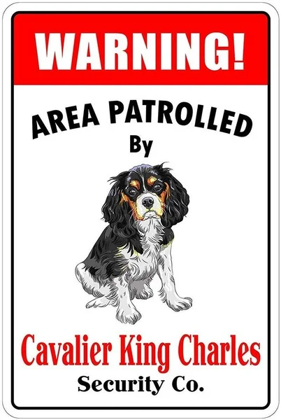 

Cavalier King Charles Tin Sign art wall decoration,vintage aluminum retro metal sign, 1