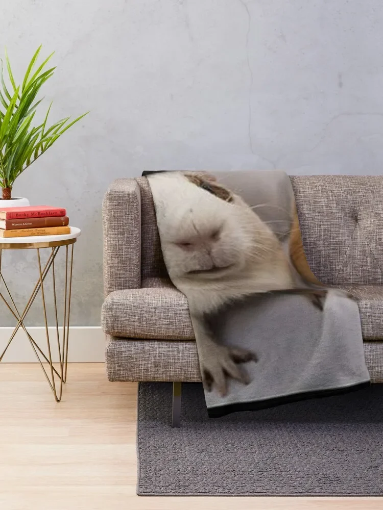 Морская свинка а?? Симпатичная коллекция Модель 21 Одеяло Зимние кровати Одеяла