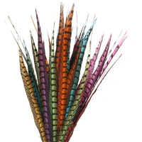 50pcslot colored lady amherst pheasant tail feathers for crafts long large feather diy carnival holiday party decoration plumes