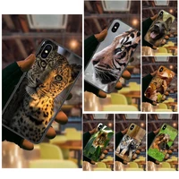 for redmi note 10 9 9s 9t 8 8t 7 6 5 5a 4 pro max 4g 5g accessories phone case animal cat dog tiger cute