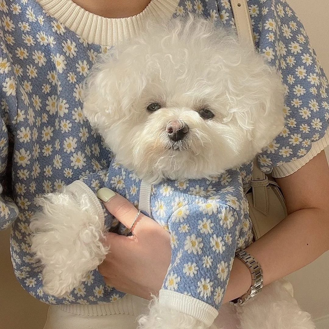 

Ins Fashion Dog Clothes Daisy Floral Design Dogs Jacket Dog Vest Teddy Bichon Yorkshire Puppy Cat Pet Costume 2021Fall/Winter