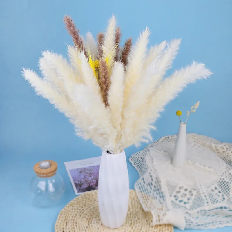 

31Pcs 40-45cm Dried Small Pampas Grass Flowers Pantas Artificiales Para Decoracion Real Plants Home Decor Wedding Decoration