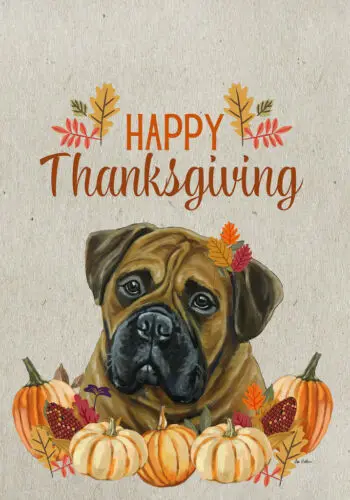 Бульмастиф Хиппи Хаунд Студии Флаг С Днем Благодарения