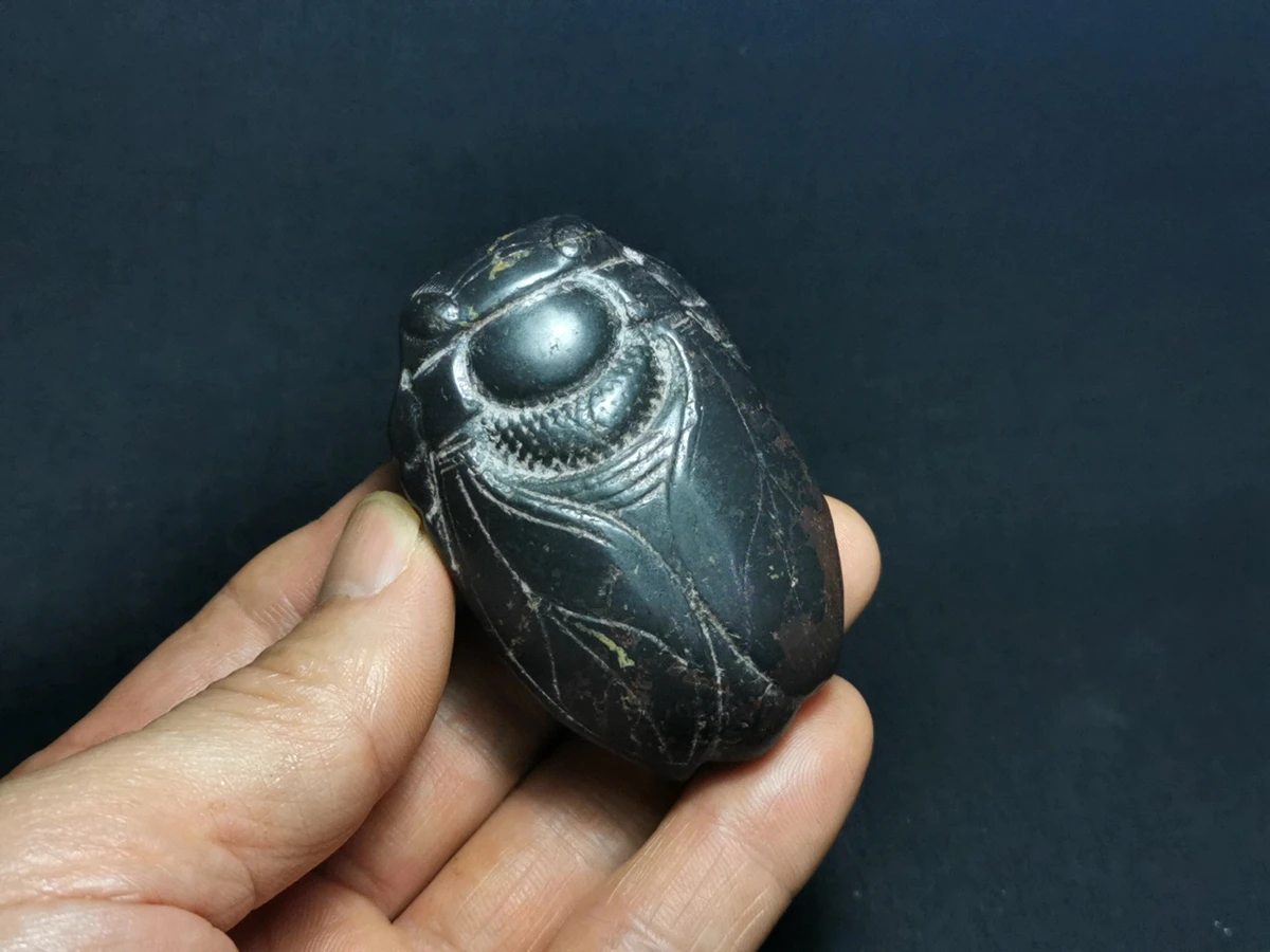 

YIZHU CULTUER ART Collection Old Chinese Hongshan Culture Black Magnet Jade Carving Cicada Pendant