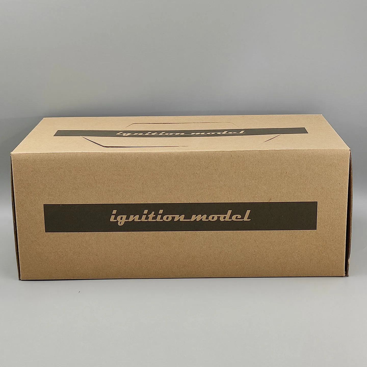 Масштабная модель автомобиля IR 1:18 Leopard 3.0 Ultima F31, черная, из смолы (art.: 3920dd19fc09e) - 3920dd19fc09e
