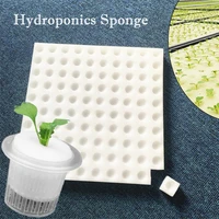 100pcs white seedlings cloning collar garden cultivation plant seedling sponge soilless hydroponic vegetables nursery pots