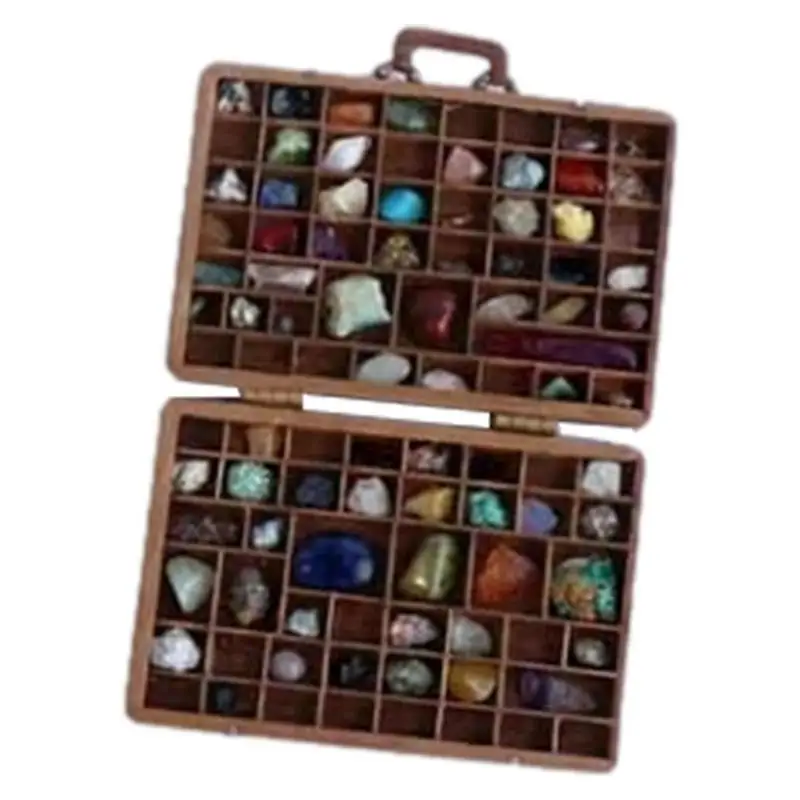 

Rock Collection Box For Kids Rock & Mineral Collection Activity Kit Bulk Rocks Genuine Fossils And Minerals Box Gifts For Kids