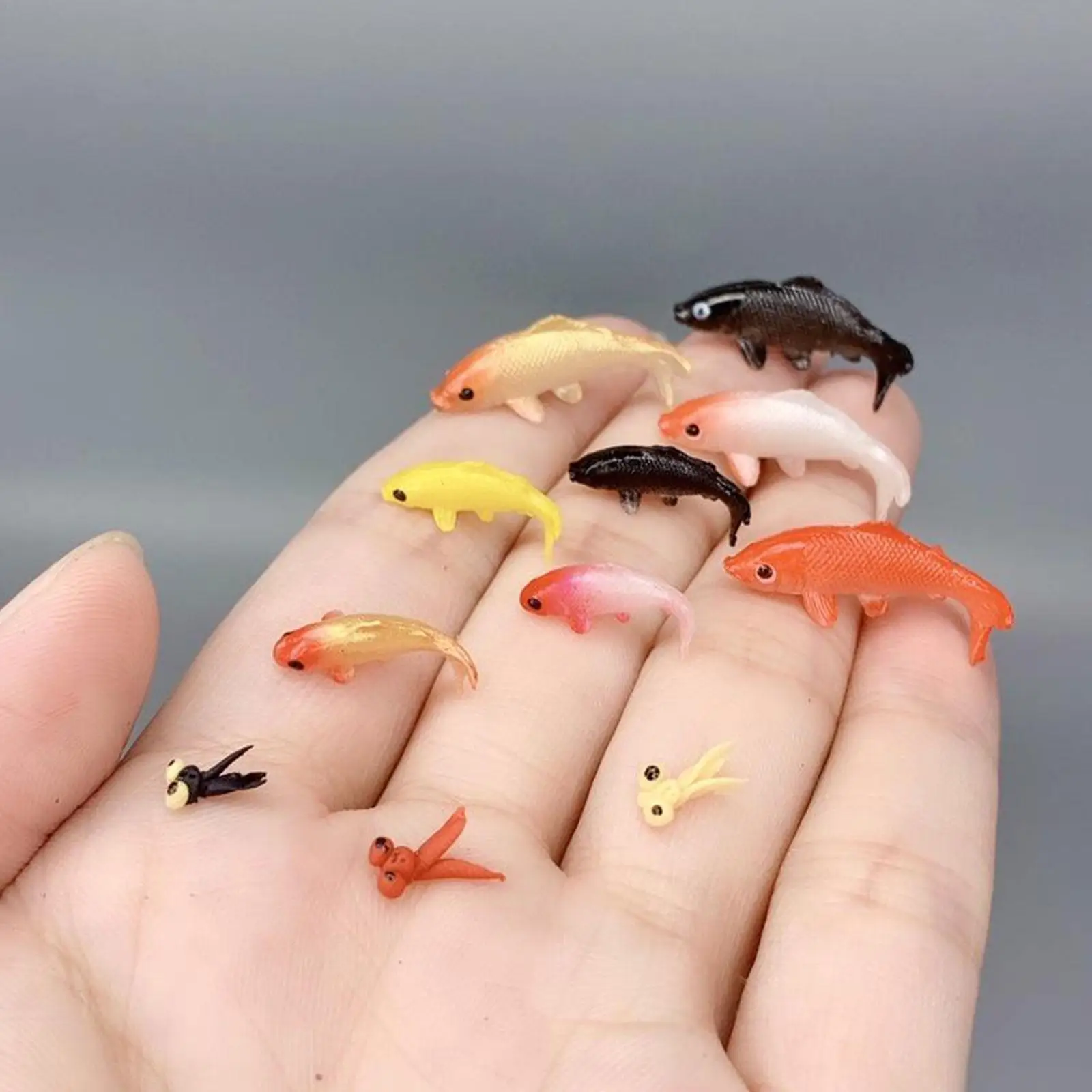 

10 One -piece Style Random Miniature Fish Models For Sale Simulation Home Ornament Dolls Props Miniature Scene Landscaping Props