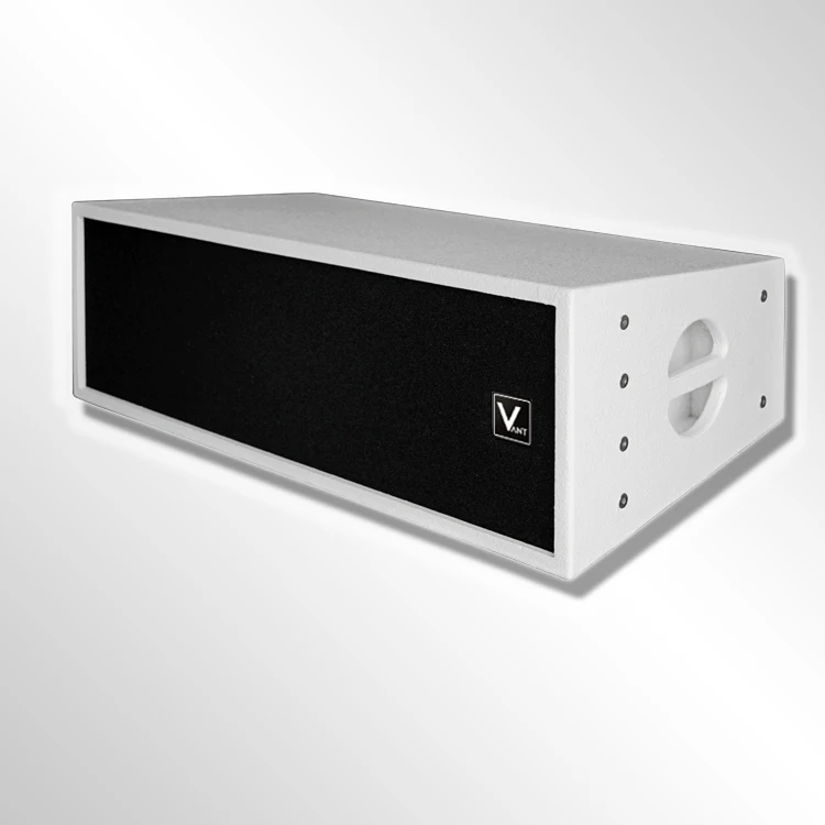 Профессиональный аудио видео большой этап Свадьба бар праздник уличный