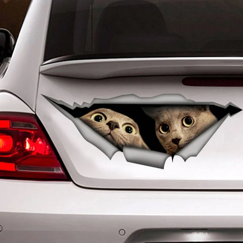 

Funny cat decal, funny sticker, cat car sticker, gray cat