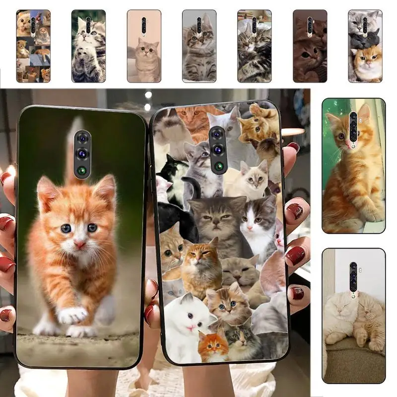 

Cats Phone Case for Vivo Y91C Y11 17 19 17 67 81 Oppo A9 2020 Realme c3