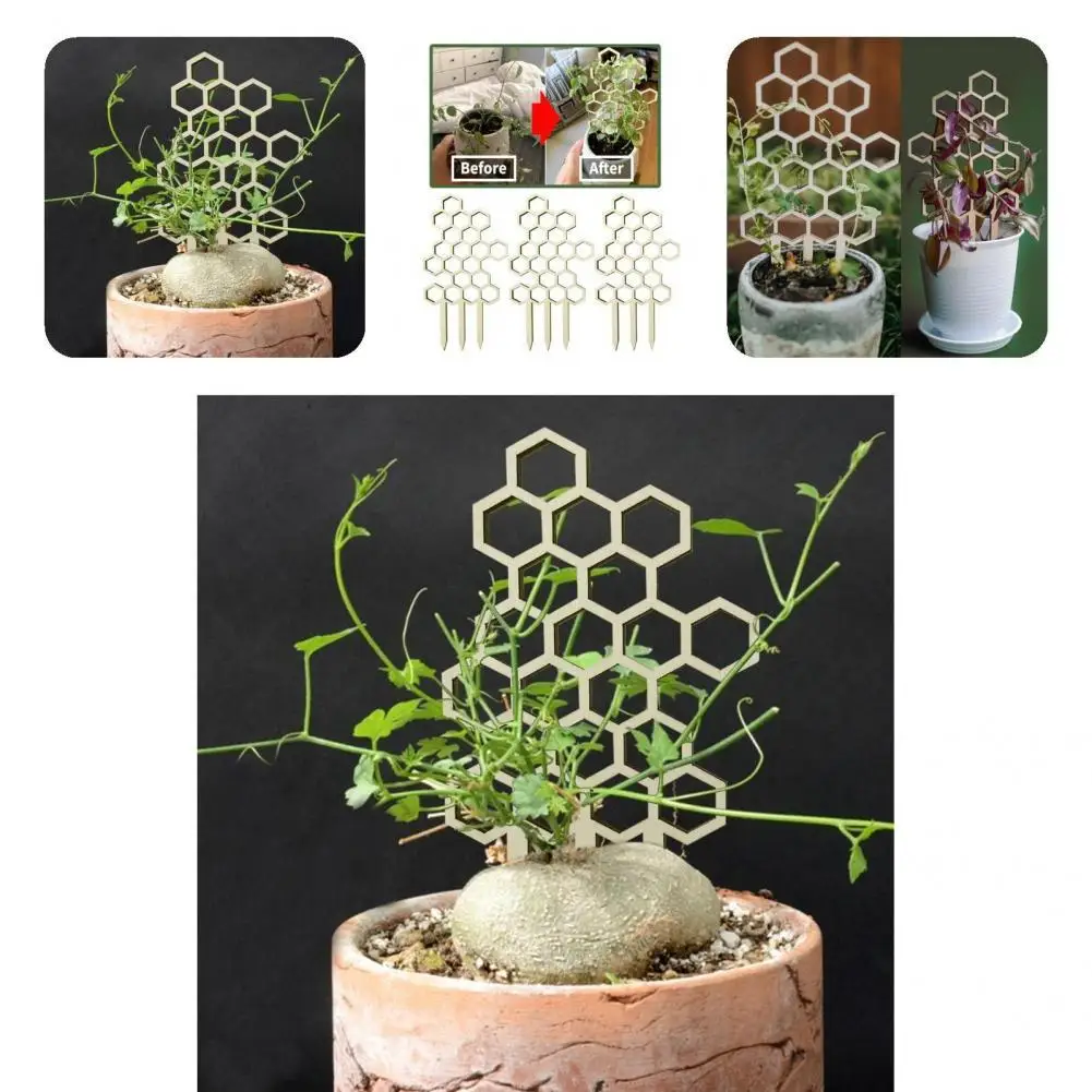 

Sturdy Eco-friendly Lovely Leaf Shape Plant Support Rack for Bonsai