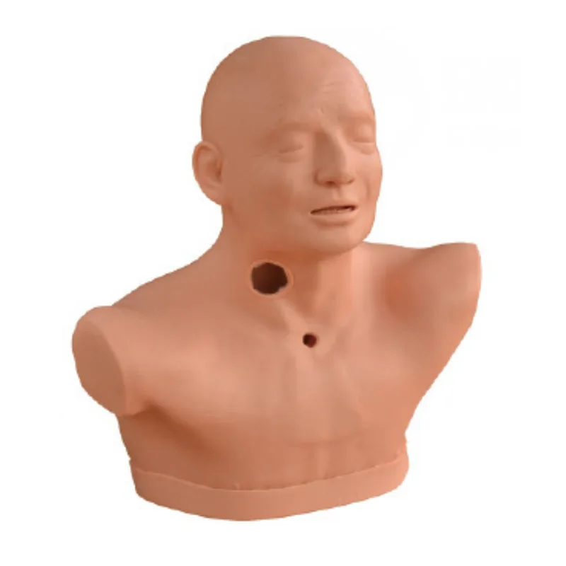 

Высококачественная улучшенная модель трахеотомии для взрослых, манекен для обучения трахеотомии