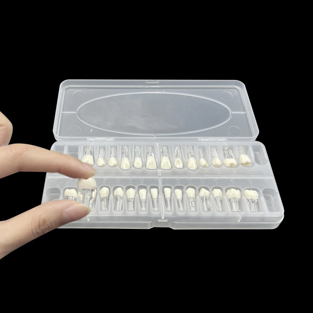 28 шт./набор эндододонтические зубы