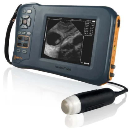 

Original Digital Ultrasonic Diagnostic Imaging System Ultrasound Scanner For Vet Portable Veterinary Ultrasound Price