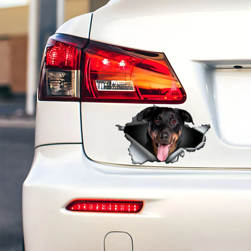 DK570 # Автомобильные наклейки Beauceron самоклеящаяся водонепроницаемая наклейка с