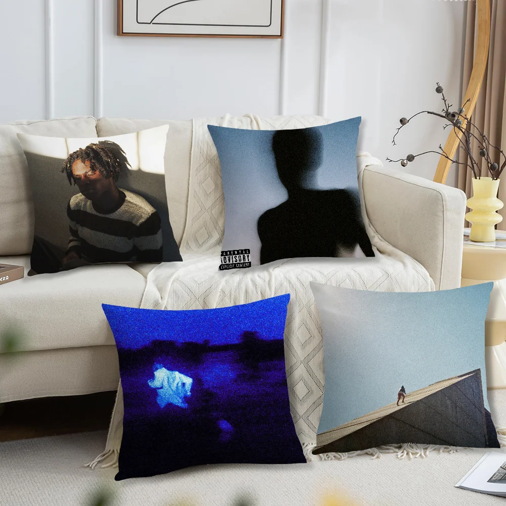 Певица Д-Денниель Цезарь никогда не достаточно наволочка для гостиной диван