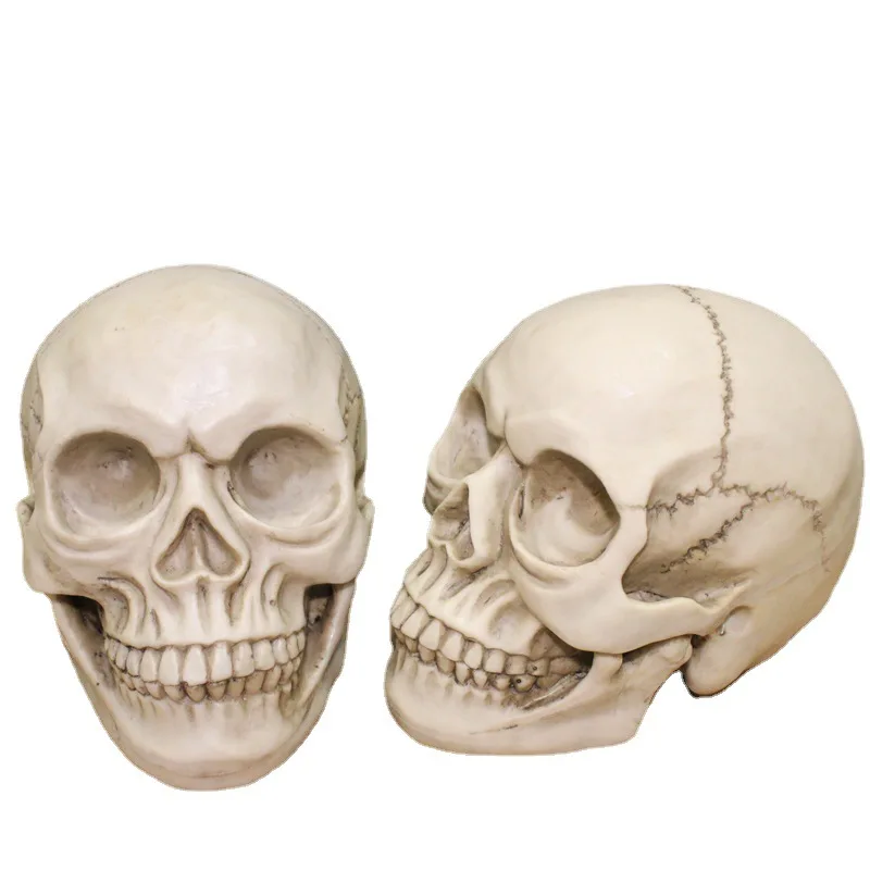 

Resin Crafts Skull Model 1:1 Teaching Supplies Home Decoration Statue Sculpture Living Room Bar Ornaments Halloween Gift