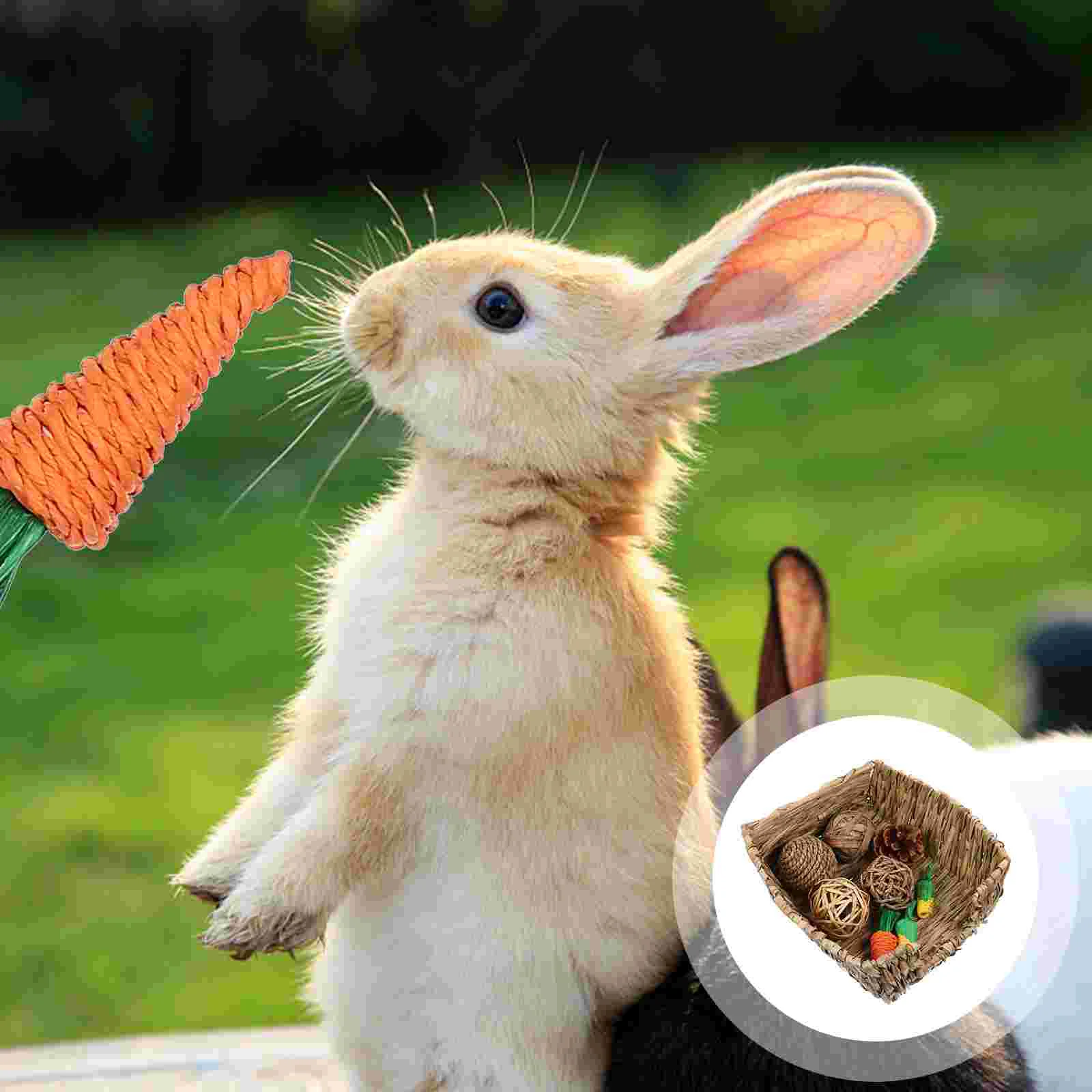 

Toys Bunny Rabbit Bedguinearabbits Stuff Chinchilla Cage Accessories Chew Teeth Bedding