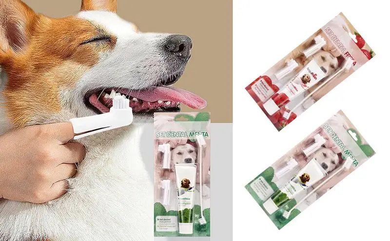 

Dog Toothbrush And Toothpaste effective pets teeth cleaning paste Dog Bad Breath Elimination paste with toothbrush for pets
