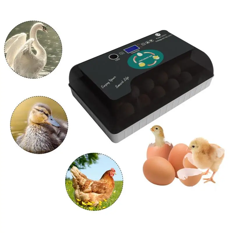 

Chicken Incubators For Hatching Eggs Breeder Automatic Chicken Poultry Farm Hatcher Turner Incubation Tool Small Egg Incubator