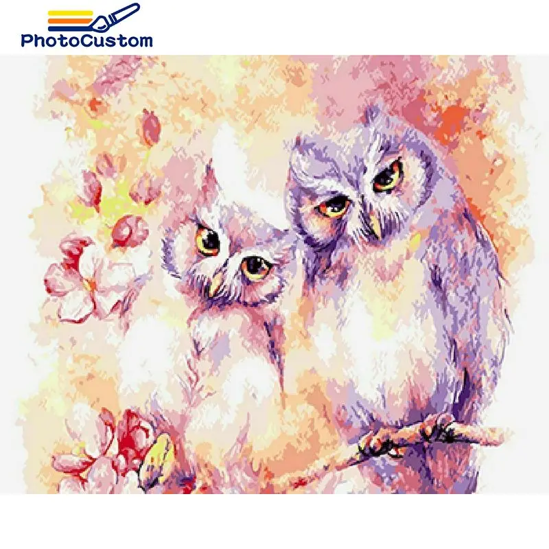 

PhotoCustom Picture By Number Owl Kits Home Decor Painting By Numbers Animals Drawing On Canvas HandPainted Art DIY Gift