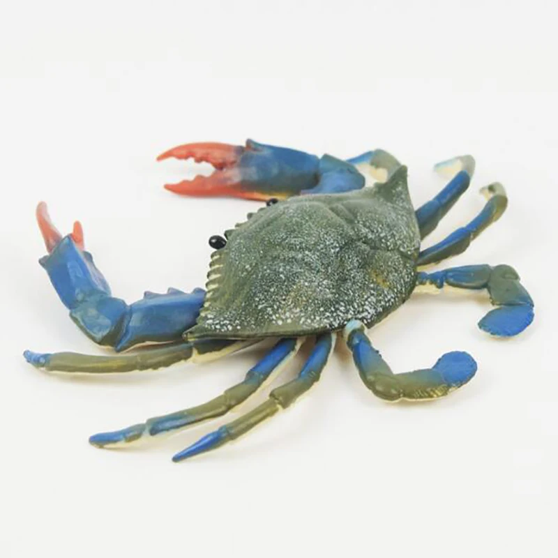 

Big Blue Foot crabs Marine Animals Sea For Gift Educational Props Action Figures Hot Simulation Crab model Photograph Props