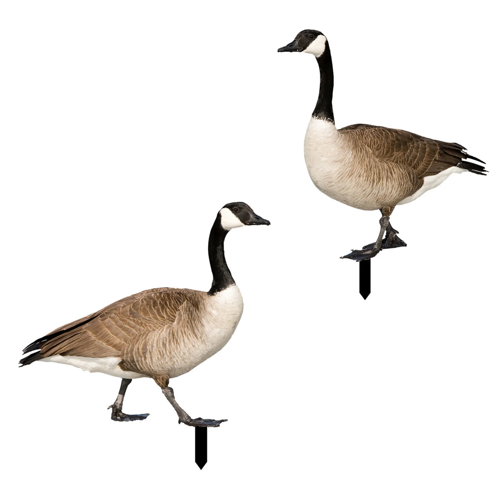 

Creative Duck Garden Stake Decor Cute Duck Sculpture Housewarming Crafts for Outdoor Yard Lawn Garden