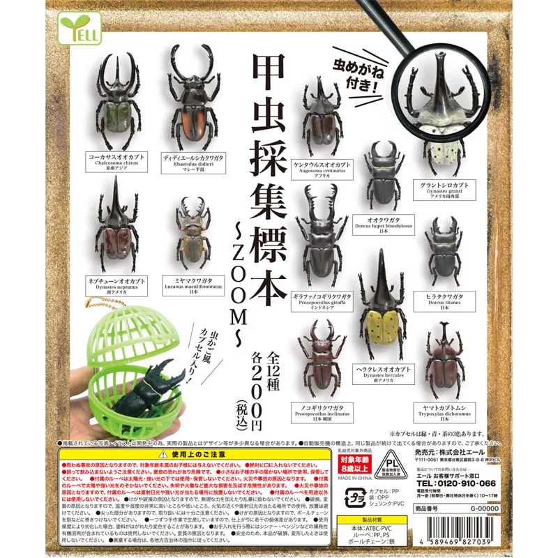 

YELL Original Genuine Gashapon Beetle Specimen Simulation Uang Toys Gachapon Capsule Toy Doll Model Gift Figure Collect Ornament