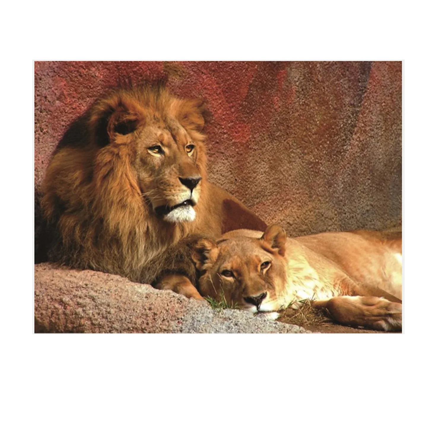 

Two lions hang paintings and flags,sofa background, home interior decoration painting, 600D Oxford cloth 100 * 150cm
