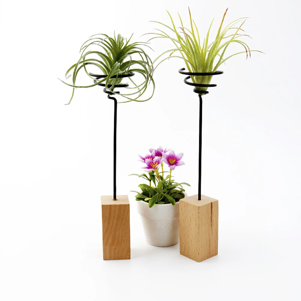 

Air Holder Display Stand Tillandsia Rack Containers Decor Wall Makeup Racks Stands Indoor Holders Beauty Sponge Spring Blender
