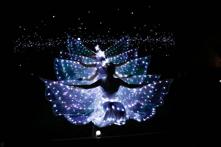 

Belly Dance Led Isis Wings with Adjustable Sticks Accessories Stage Performance Props Shining White Led Wings 360 Degrees