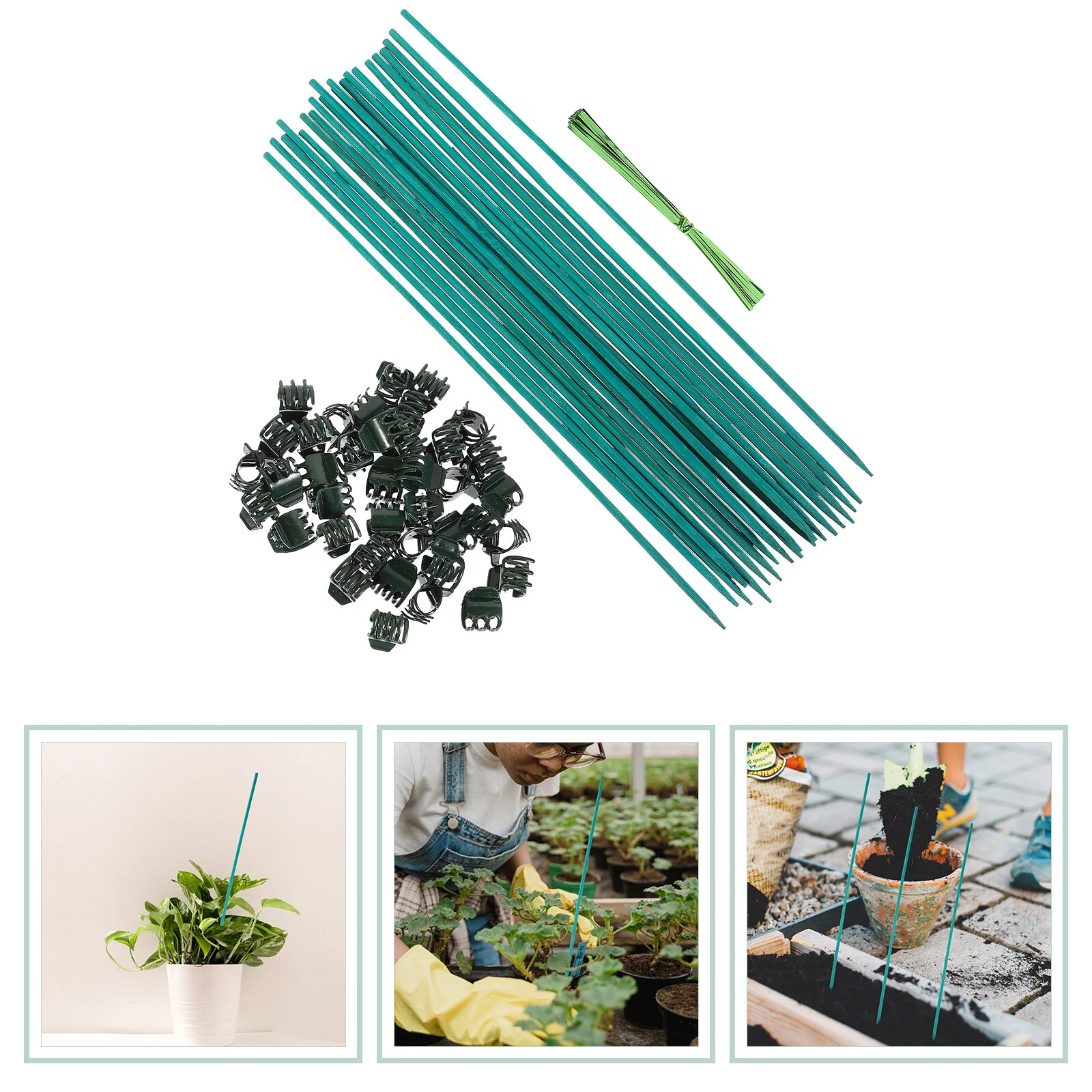

Potted Garden Stake Kit Green Support Flower Stakes Plants Bamboo Sticks Supplies