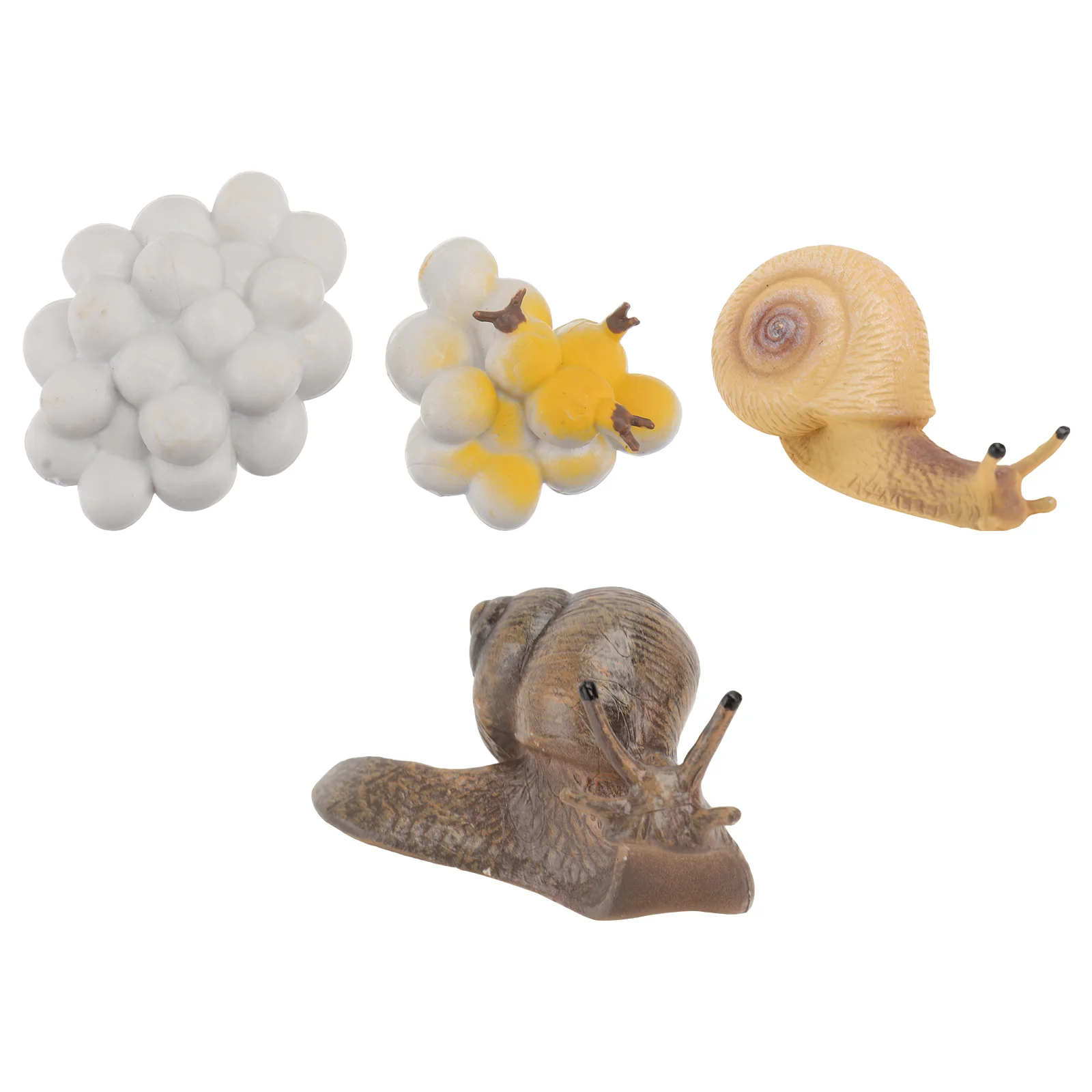 

Cycle Life Growth Insect Snail Figurinesanimal Model Statue Educational Figures Figurinefigure Snailsgift Kids Children Ornament