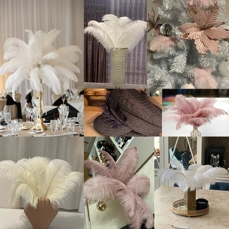 10 шт./партия декоративные перья страусиного дерева |