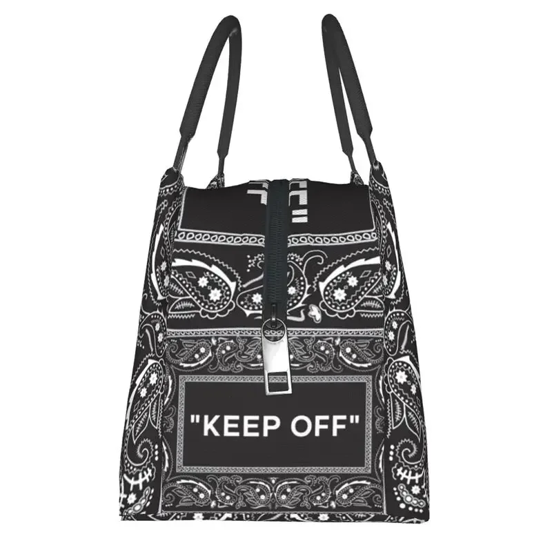 Изолированные сумки для обедов отдыха на открытом воздухе гипотический ковер