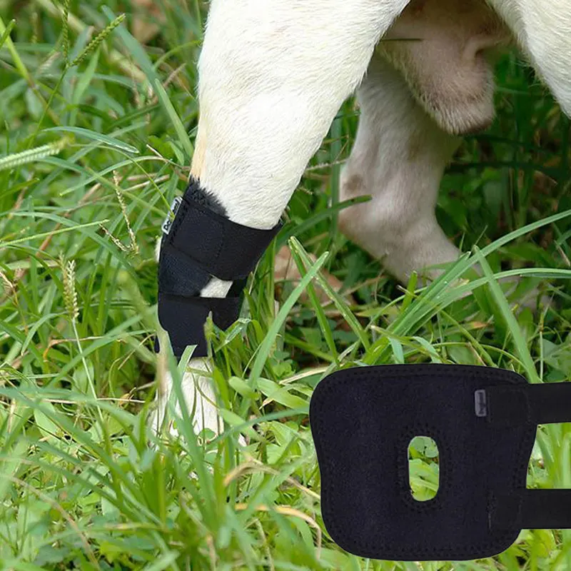 

1 шт., пластырь на колено для лечения и травм ног