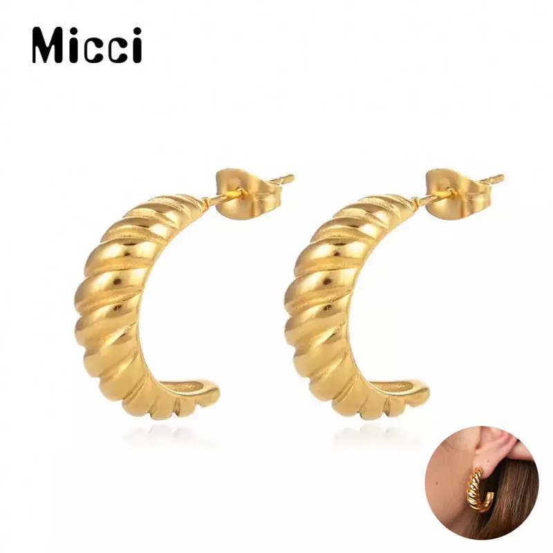 

Micci Fashion Ladies Claw Hoop Earrings High Quality 316L Stainless Steel Earrings Wholesale Cool Stuff Gifts Drop Shipping