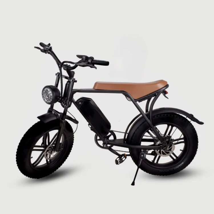 

High Quality 7 Speed 50KM/H Big 15Ah Electric Assist Bicycle 750W Electric Bike For Adults with