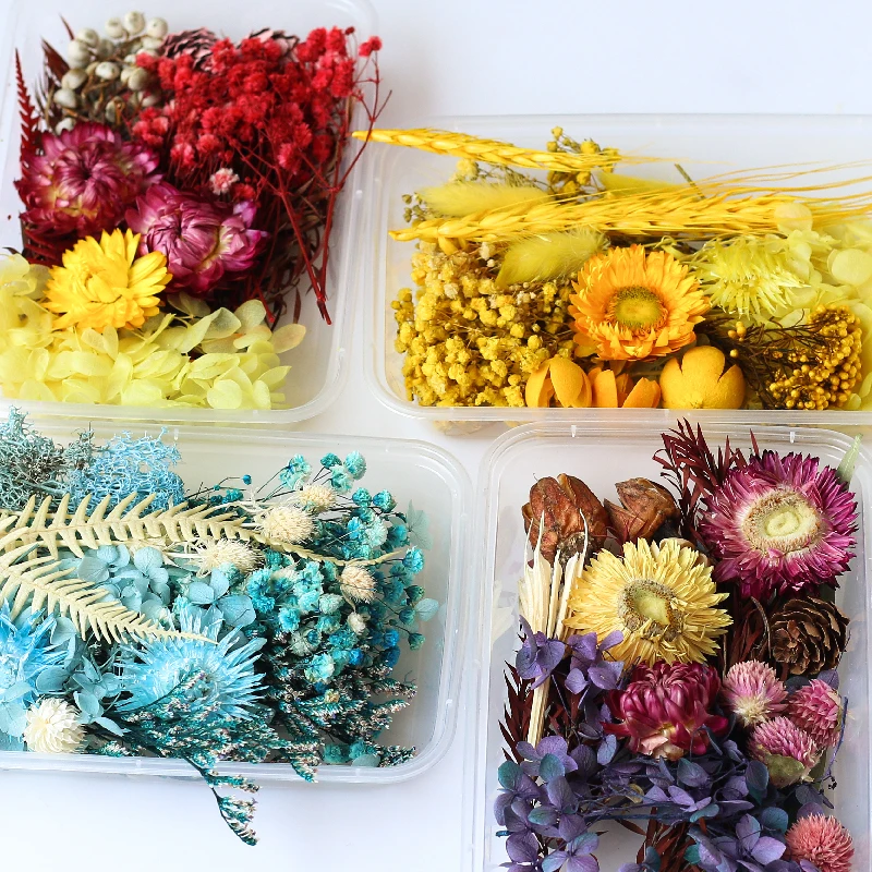 

2Box Natural Dried Resin Flower for Resin Mold,Real Daisy Small Flower Leaves Scrapbooking DIY Candle Accessories Jewelry Crafts