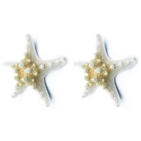 2pcs natural starfish sea star shell making diy craft decor