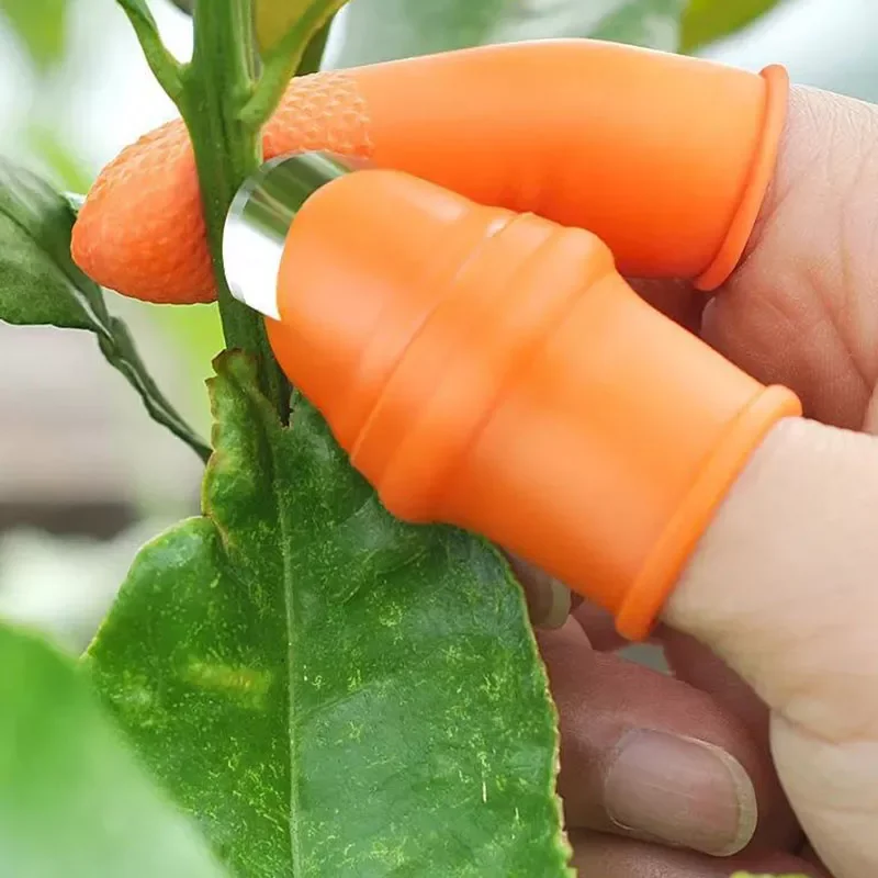 

1set Silicone Finger Protector Knife Set Vegetable Fruit Pickle Picker Iron Nail Pick Grape Picker for Garden Orchard Patch