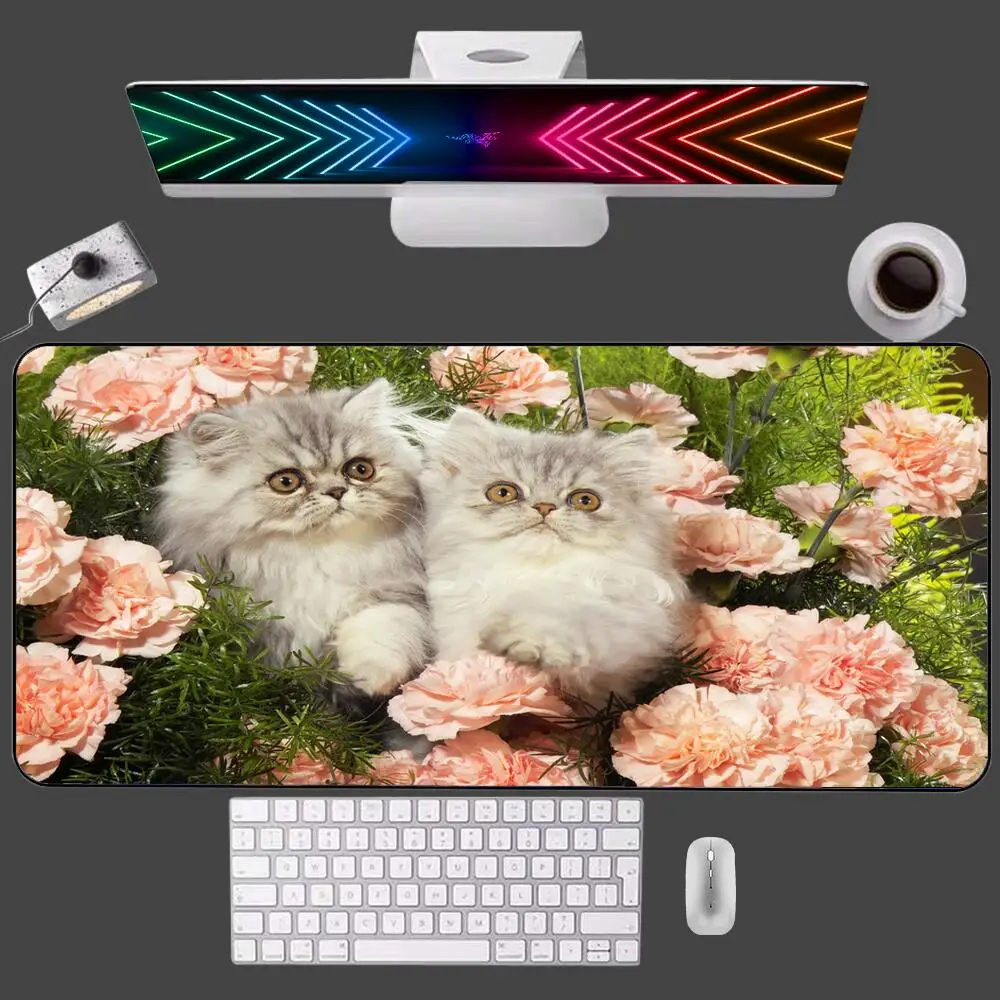 Cute Kitten Gaming Accessories Mouse Pad Gaming Professional E-sports Gamers Speed Pc Rubber Keyboard Mat Home Desk Mat Mousepad
