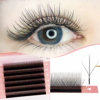 two core 3d w shape eyelash extension premade fairy volume fans lashes bloom natural soft false eyelashes individual lashes
